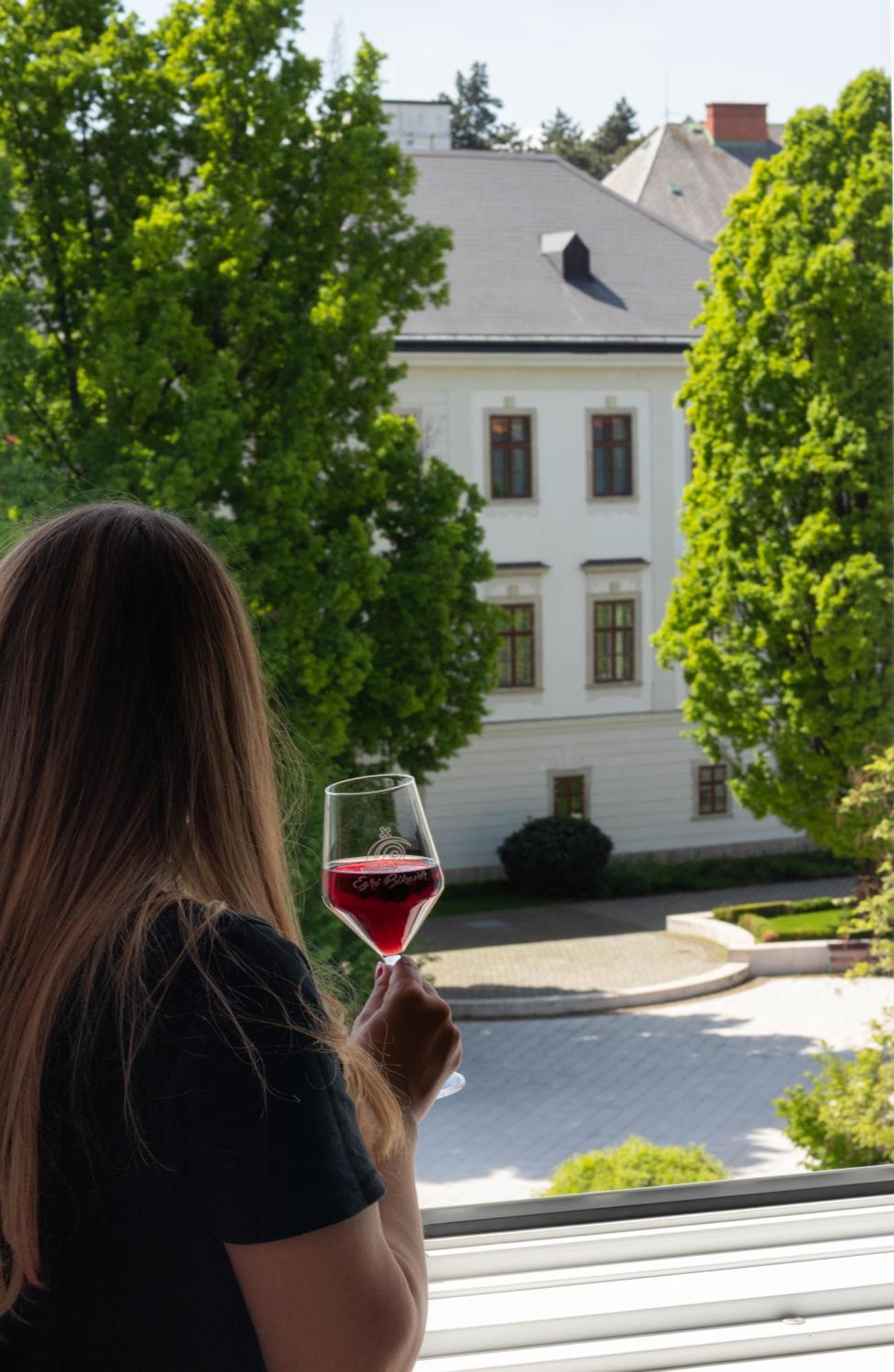 Suzy Apartman Eger Eksteriør bilde